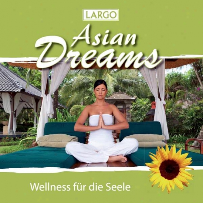 Asian Dreams - Entspannungsmusik Fã¼r Tai Chi, Jogq, Qi Gong Und Meditation (gema-frei)