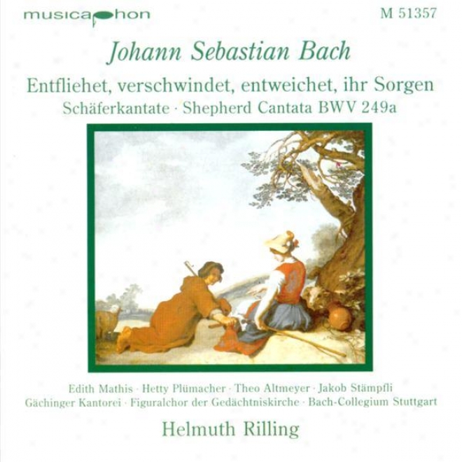 Bach, J.s.: Entfliehey, Verschwindet, Entweichet, Ihr Sorgen / Concerto For Oboe And Violin In D Minor