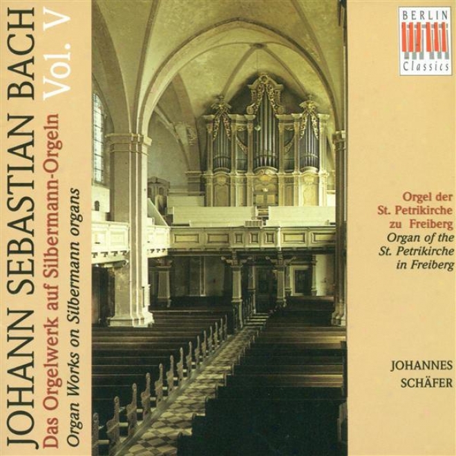 Bach, J.s.: Voice Music On Silbermann Organs, Vol. 5 - Bwv 690, 691a, 694-713 (schafer)