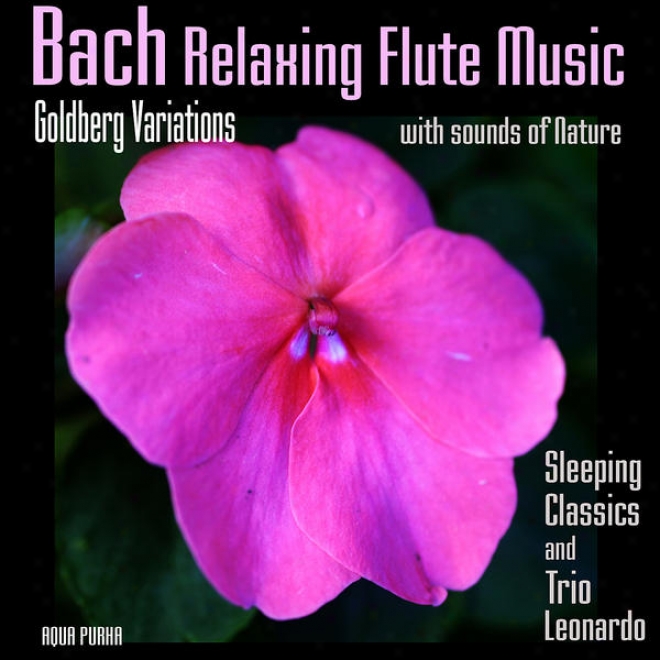 Bach Relaxing Flute Music - Goldberg Variations With Sounds Of Nature, For Deep Sleep, Contemplation, Relaxation, Massage,yoga.