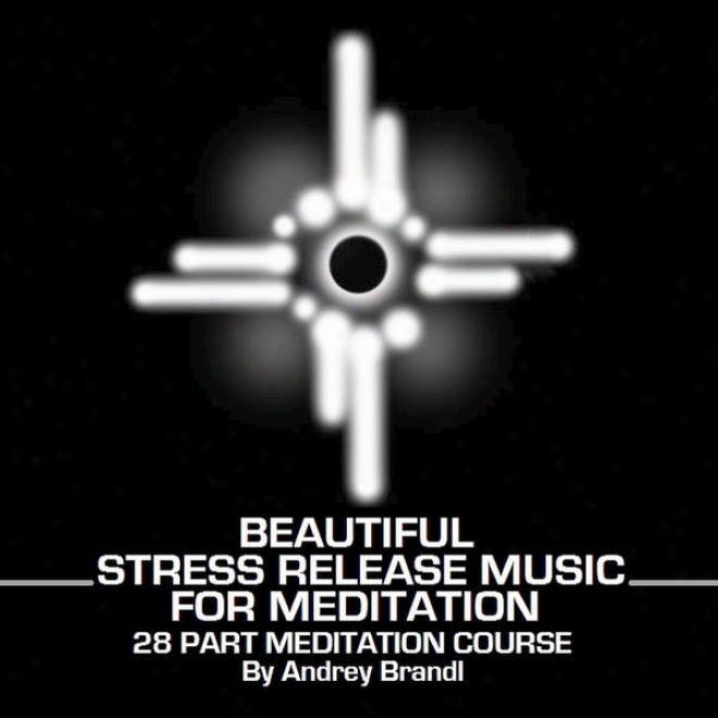 Beautiful Stress Release Music For Meditation 28 Part Meditation Course By Andrey Brandl