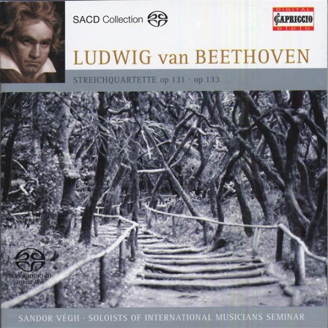 Beethoven, L. Van: String Quaryet None. 14 / Grosse Fuge (arr. For String Orchestra) (international Musicians Seminar Soloists, Vegh
