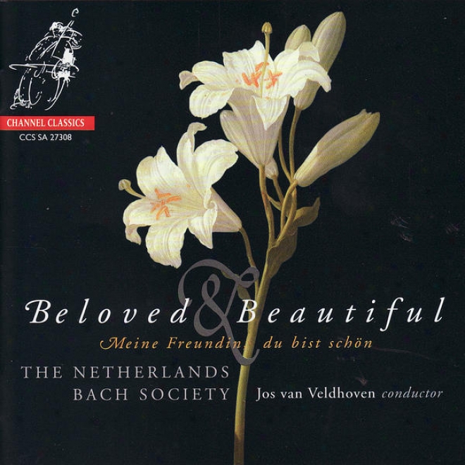 Beloved & Beautiful - The Netherlands Bach Societ yPerforms Bã¶hm, J.c. Bach, Schã¼tz, & J.s. Bach
