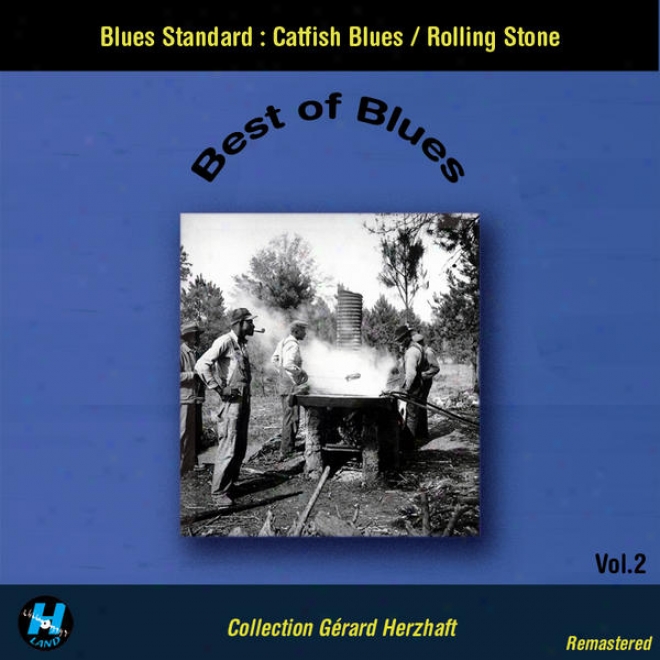 Best Of Blues Vol.2 : Blues Standard : Catfish Blues - Rolling Stone (collection Gerard Herzhaft Remastered)
