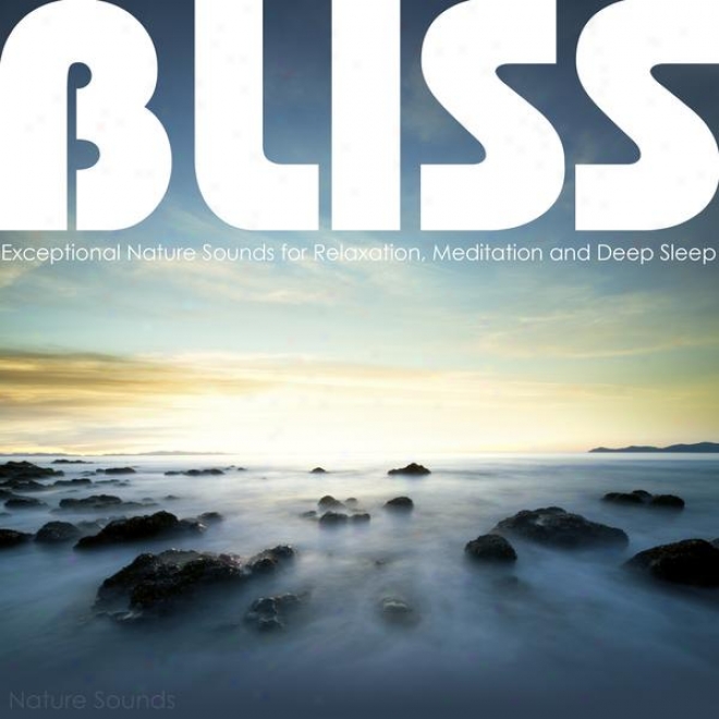 Happiness - Exceptionai Nature Sounds For Relaxation, Contemplation And Deep Sleep