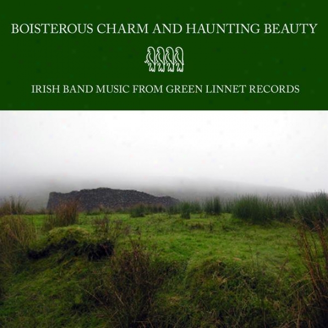 Boisterous Chark And Haunting Beauty - Irish Band Music From Green Linnet Records