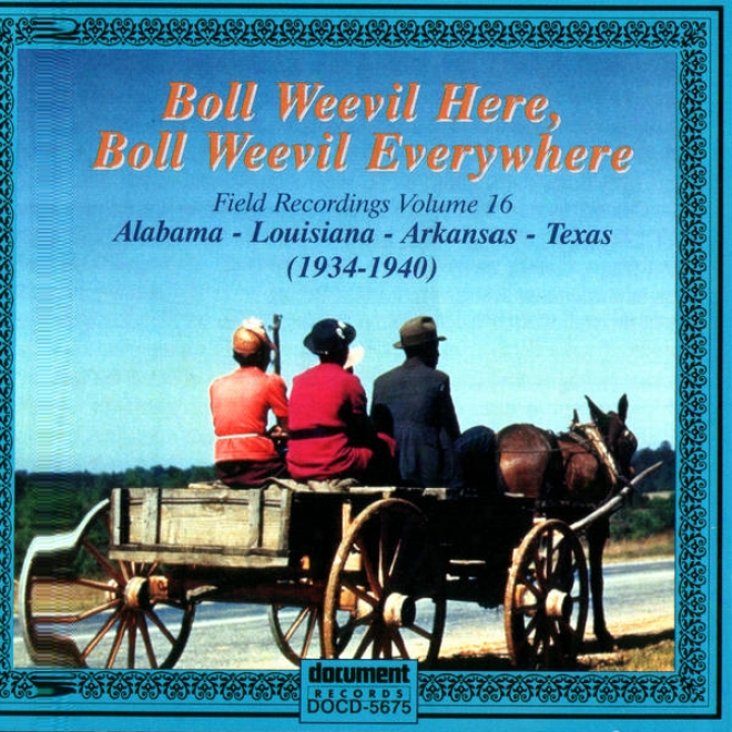 Boll Weevil Here, Pod Weevil Everywhere - Field Recordings Vol. 16 (1934-1940)