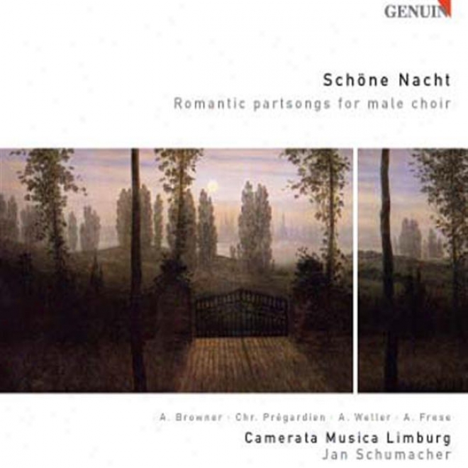 Choral Concert: Camerata Musica Limburg - Vaughan Williams, R. / Schubert, F. / Silcher, F. / Gluck, F. / Nigel, W. / Pracht, R. /