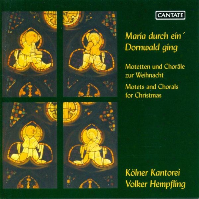 Choral Concert: Cologne Kantorei - Schroetrr, L. / Sweelinck, J.p. / Brahms, J. / Bruch, M. / Reger, M. (motets For Christmas)