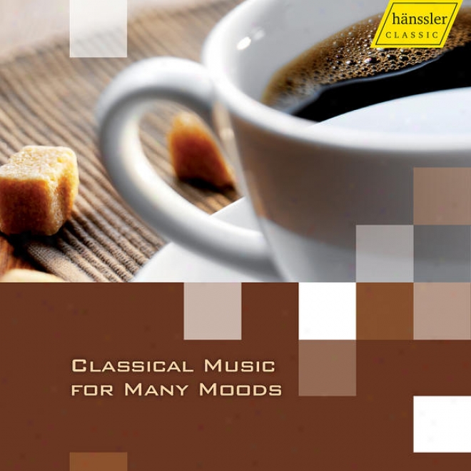 Classical Music For Many Moods - Bizet, Stravinksy, Dvlå™ã¢k, Ravel, Tchaikovsky, Bartholdy & Mahler