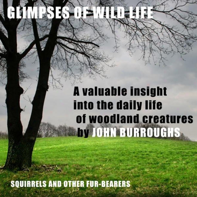 Glimpses Of Wild Life (unabridged), A Valuable Insight Into The Daily Life Of Woodland Creatures, By John Burroughs