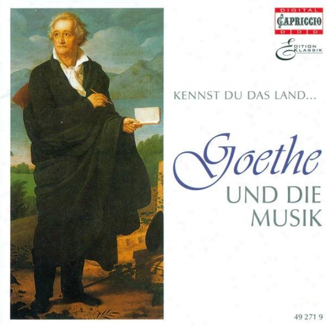 Goethe And Music, Vol. 2 - Wolf, H. / Schubert, F. / Mozart, W.a. / Beethoven, L. Van / Scchumann, R. / Brahms. J. / Liszt, F. / Me