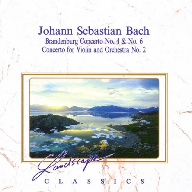 Johann Sebastian Bach: Brandenburgisches Konzert Nr. 4 & Nr. 6 - Konzert Fã¼r Violine & Orchester Nr. 2