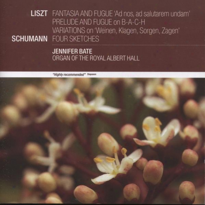 Liszt: Fantasia & Fugue; Prelude & Fugue; Vatiations On Weinen, Klagne, Sorgen, Zagen