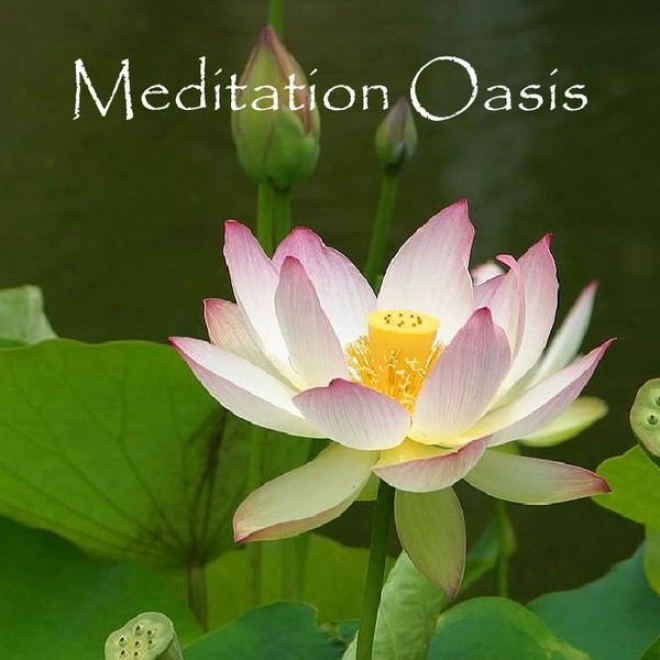 Meditation Oasie - Guided Meditations For Effortlessness, Emotkonal Ease An Letting Go