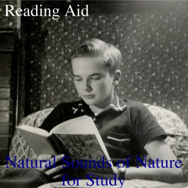 Music For Reading: Natural Sounds Of Nature For Study, Reading & Deep Concentration
