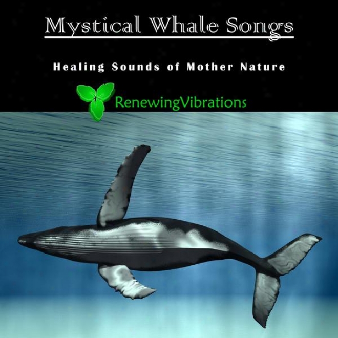 Mystical Whale Songs. Healing Sounds Of Mother Nature. Great Because Relaxation, Meditation, Sound Therapy And Sleep.