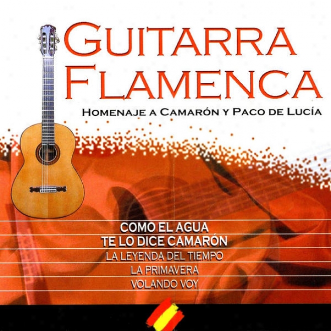 "nâº 5 ""your Songs On Spanish Guitar"" (homenaje Flamenco A ""camarã³n De La Isla"")"
