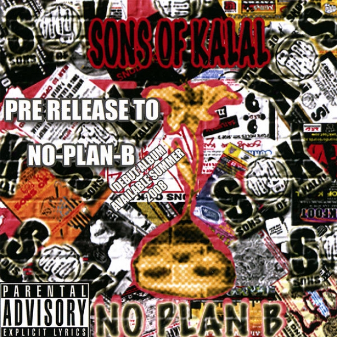 No Plan B - We Sell Out Shows, Tour As Much As Possible, Have Professional Representation, Not At Home Rappers