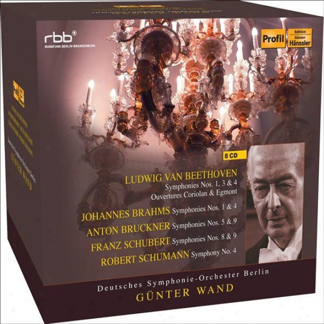 Orchestral Melody - Beethoven, L. Van / Schubert, F. / Schumann, R. / Brahms, J. / Bruckner, A. (berlin Deutsches Symphony, Wand)