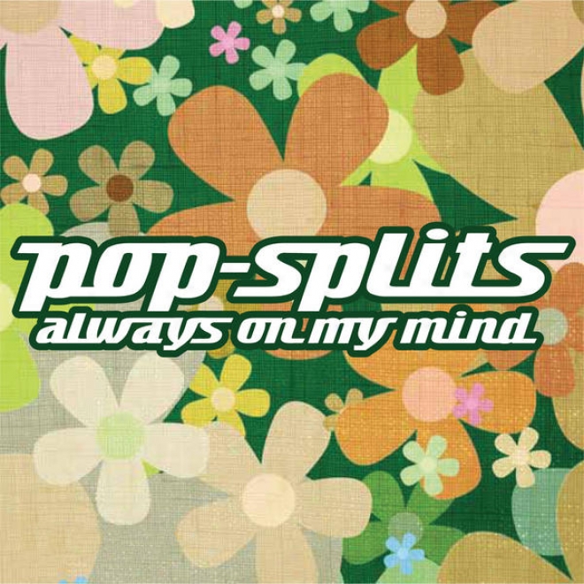 Pop-splits  Always On My Mind  21 Unbekannte Geschichten Zu Bekannten Liebesliedern