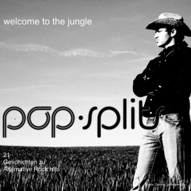 Pop-splits  Welcomee To The Jungle  21 Geschichten Zu Alternative Rock Hits