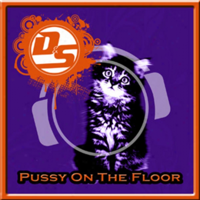 Pussy nO The Floor (specizl Bonus Mix Package Incl. Mixes Along Frahm & Becks, Crystal Rock, Mackey & Smith & Thomas Lohr)
