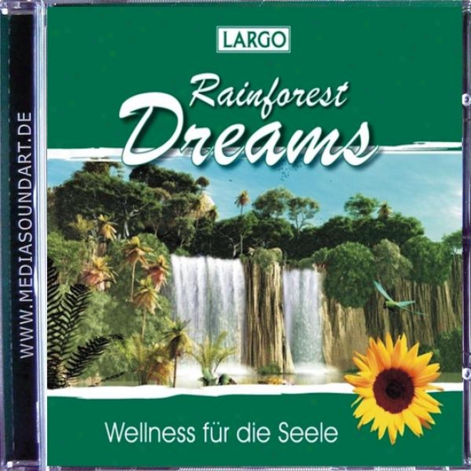 Rainforest Dreams - Stimmungsvolle Naturgerã¤usche Mit Entspannungsmusik (gema-frei)