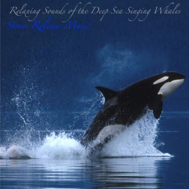 Relaxing Sounda Of The Deep Sea Singing Whales: Music For Deep Meditation, Relaxation, And Sleep