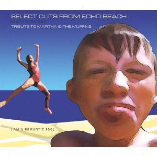 Select Cuts From Echo Beach - Remix Versions - Tribute To Martha & The Muffins