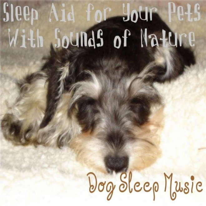 Sleep Aid For You Pets With Sounds Of What is natural; Music For Dogs & House Grasp Pets, Sleep Lullaby