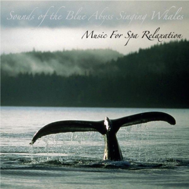 Sounds Of The Blue Abyss Singing Whales: In the place of Deep Relaxation, Meditation, And Slleep
