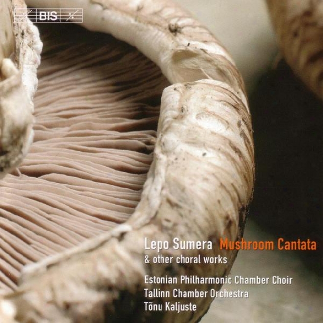 Sumera: Mushhroom Cantata / Concerto Per Voci E Strumenti / Island Maiden's Song From The Sea