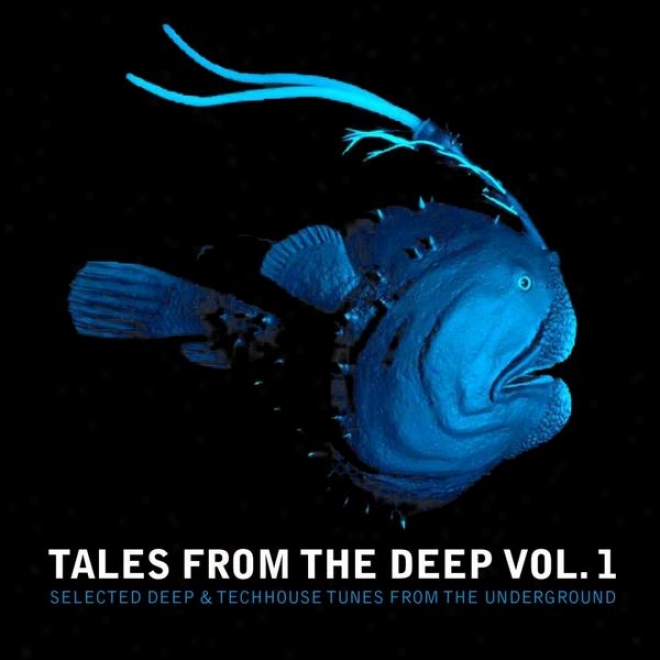 Tales From The Deep, Vol. 1  (selected Deep And Techhouse Tunes From The Underground)