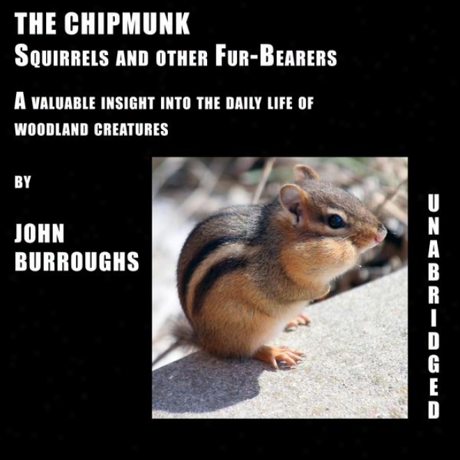 The Chipmunk (unabridgwd), A Valuable Insight Into The Daily Life Of Woodland Creatures, By John Burroughs