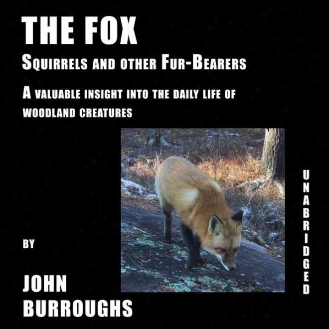 The Fox (unabridged), A Valuable Insight Into The Daily Life Of Woodland Creatures, By John Burroughs