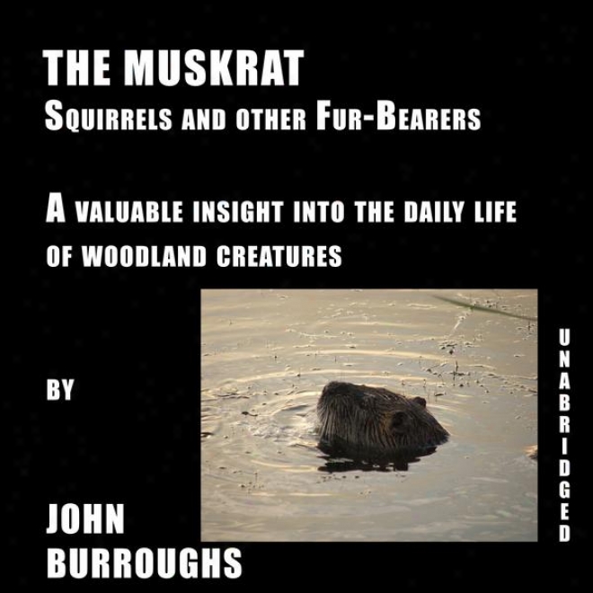 The Muskrat (uhabridged), A Valuable Insight Into The Daily Life Of Woodland Creatures, By John Burroughs