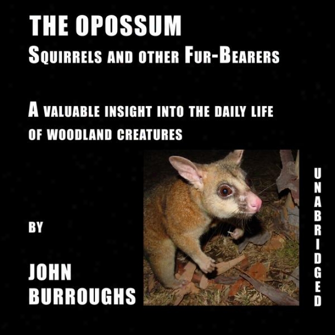 The Opossum (unabridged), A Valuable Insight Into The Diurnal Life Of Woodland Creatures, By John Burroughs