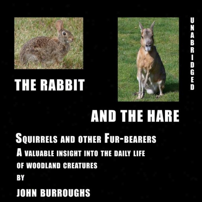 The Rabbit And The Hare (unabridged), A Valuable Insight Into The Daily Life Of Woodland Creatures, By John Burroughs