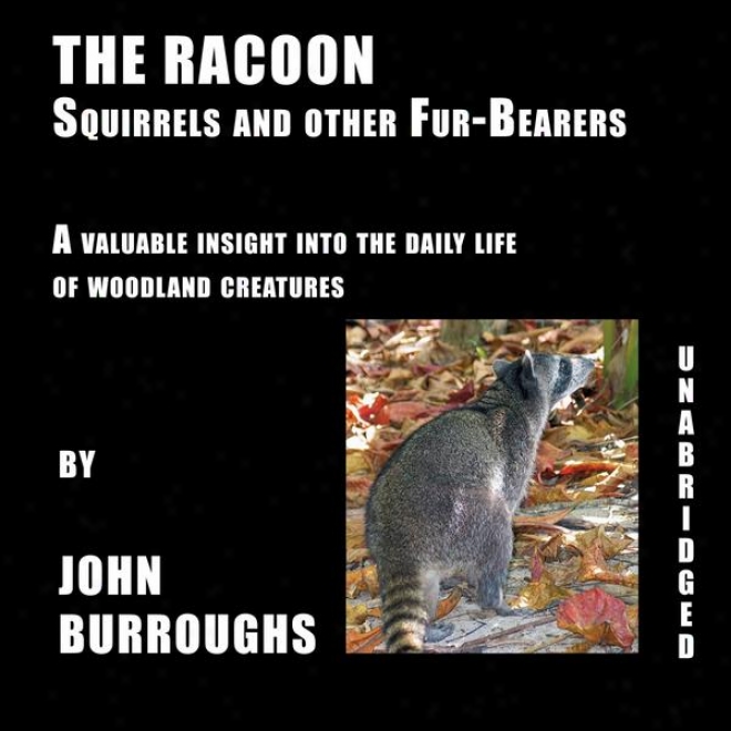 The Racoon (uunabridged), A Valuable Deep view Into The Daily Life Of Woodland Creatures, By John Burroughs