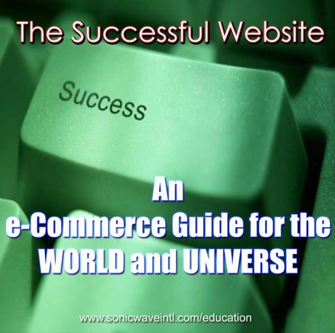 The Sucessful Website : An E-commerce Guide For The New World And Univerise