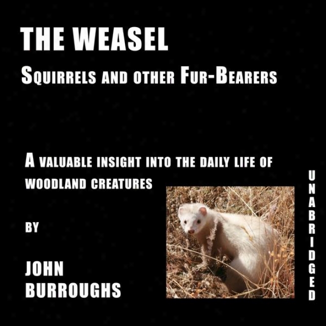 The Weasel (unabridged), A Valuable Insight Into The Daily Life Of Woodland Creatures, By John Burroughs