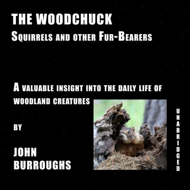 The Woodchuck (unabridged), A Valuable Insight Into The Daily Life Of Woodland Creaturrs, By John Burroughe