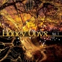 Honey Onyx - Vol 1 - Chill-out, Lounge, Loosening, Yoga, Massage, Down-tempo