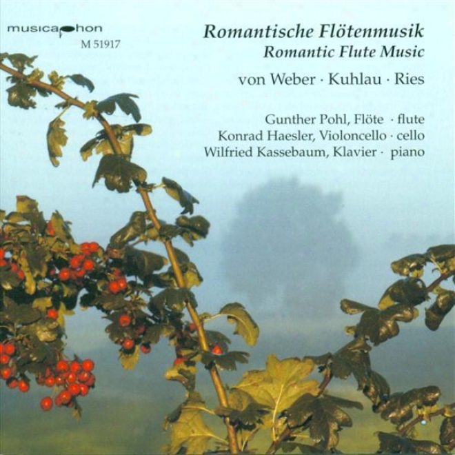 Weber, C.m. Von: Flute Trio, Op. 63 / Ries, F.: Flute Sonata, Op. 169 / Kuhlau, F.: Variations, Op. 63