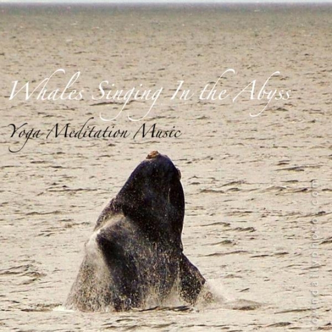 Whales Singing In The Abyss: Because of Meditation, Relaxation, Sleep, Anf Stress Relief