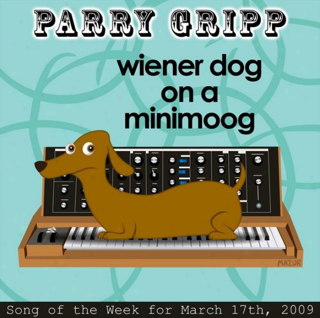 iWener Dog On A Minimo0g: Parry Gripp Song Of The Week For March 17, 2009 - Sincere