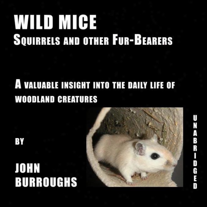 Wild Mice (unabridged), A Vqluable Discernment Into The Daily Life Of Woodland Creatures, By John Burroughs