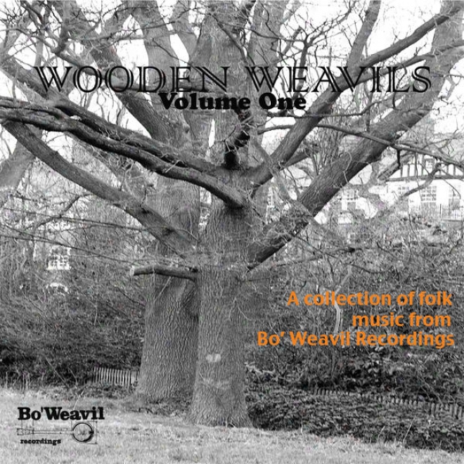 Wooden Weavil Volume 1 (collection Of Folk Music From Bo' Weavil Reclrdings)