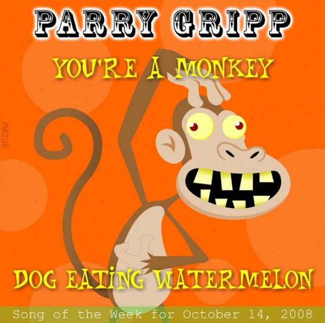 You're A Monkey: Parry Gripp Song Of The Week For November 4, 2008 - Single